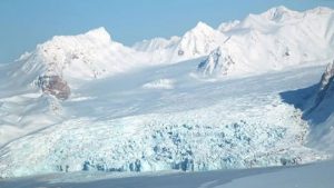 Lee más sobre el artículo El océano Ártico se acidifica hasta cuatro veces más rápido que otros océanos
