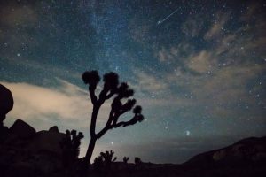 Lee más sobre el artículo Ya está aquí la lluvia de meteoros de las Leónidas 2022