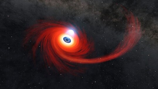 Lee más sobre el artículo La NASA Observa un Agujero Negro Devorando una Estrella