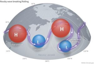 Lee más sobre el artículo Las ondas de Rossby, ¿de dónde vienen? ¿hacia dónde se dirigen?