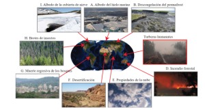 Lee más sobre el artículo PROYECTO SOBRE BUCLES DE RETROALIMENTACIÓN DEL CLIMA