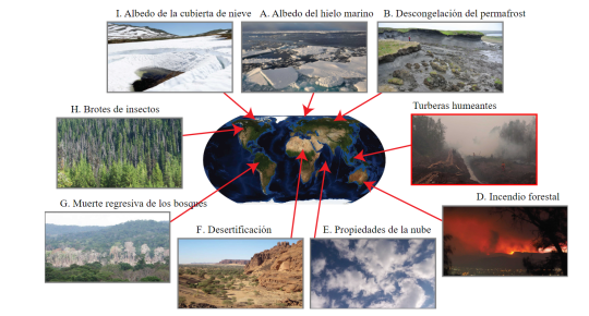 Lee más sobre el artículo PROYECTO SOBRE BUCLES DE RETROALIMENTACIÓN DEL CLIMA