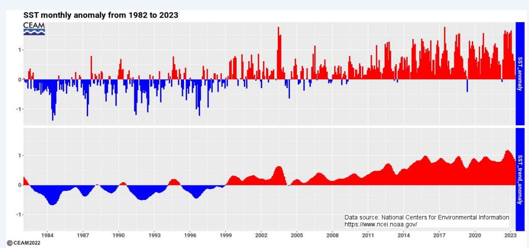 Lee más sobre el artículo Durante la primavera la temperatura media del Mediterráneo se mantuvo por encima de los valores promedio climáticos sobre todo en marzo y abril, con un valor medio de 0,5 °C