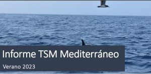 Lee más sobre el artículo Informe TSM del Mediterráneo: VERANO 2023