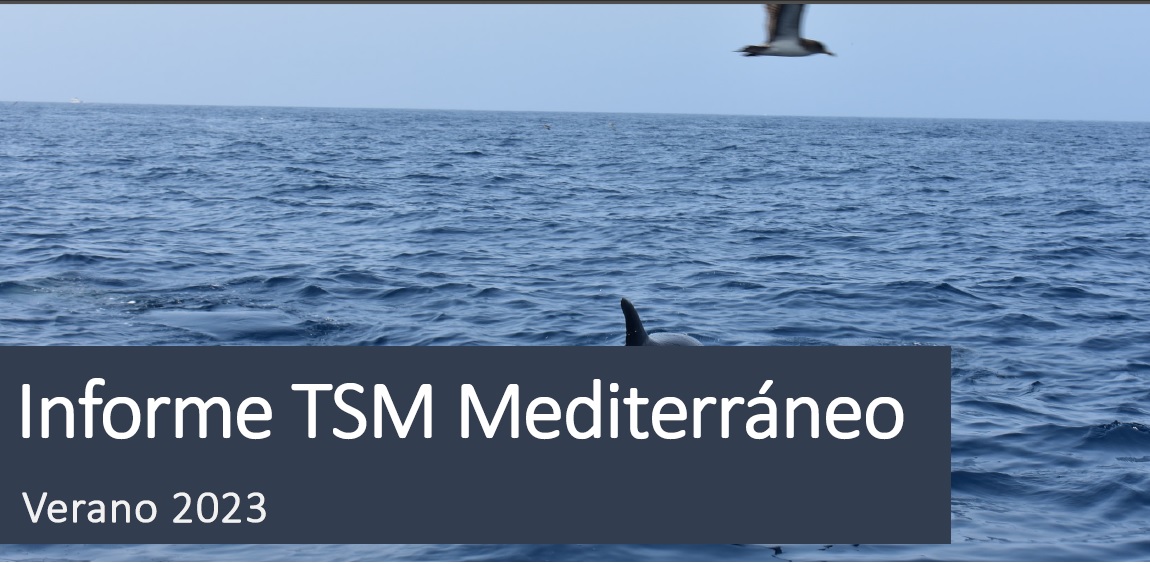 Lee más sobre el artículo Informe TSM del Mediterráneo: VERANO 2023